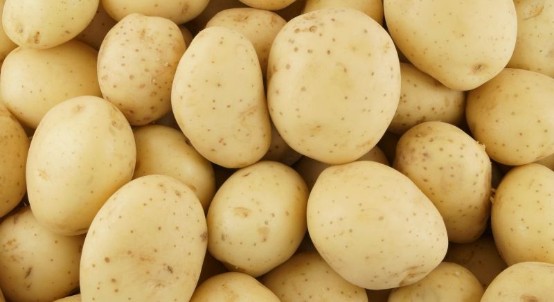 Close up of a pile of raw potatoes.