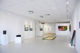 Gallery floor with artwork hanged on walls, sculptures and carpets.