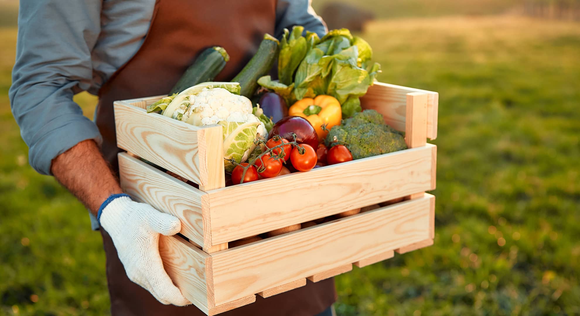 Person holding a case of vegetables.