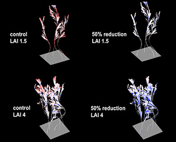 Light reduction under a dredging event