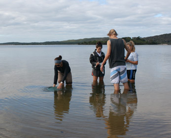 Sampling in an estuary