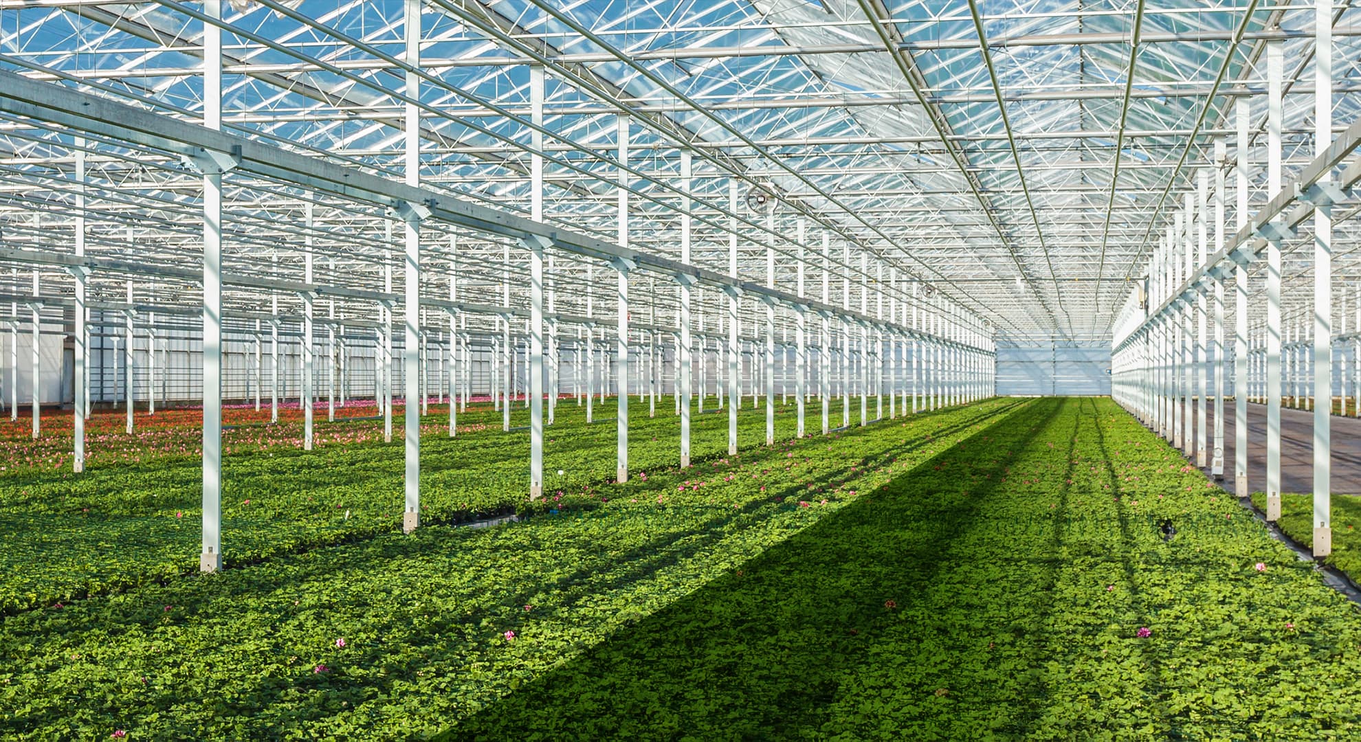 Greenhouse powered by nanotechnology