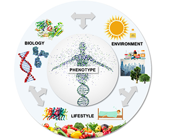 Figure showing the Precision Health model of the interaction between biological data, environment and lifestyle