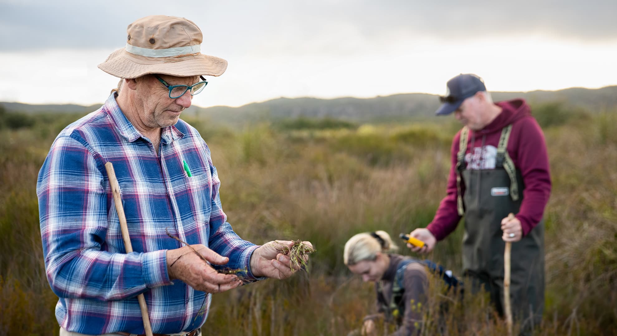 A farmer and ECU scientists inspecting the peatlands