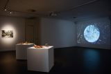 Distance and Displacement at ECU's Gallery25