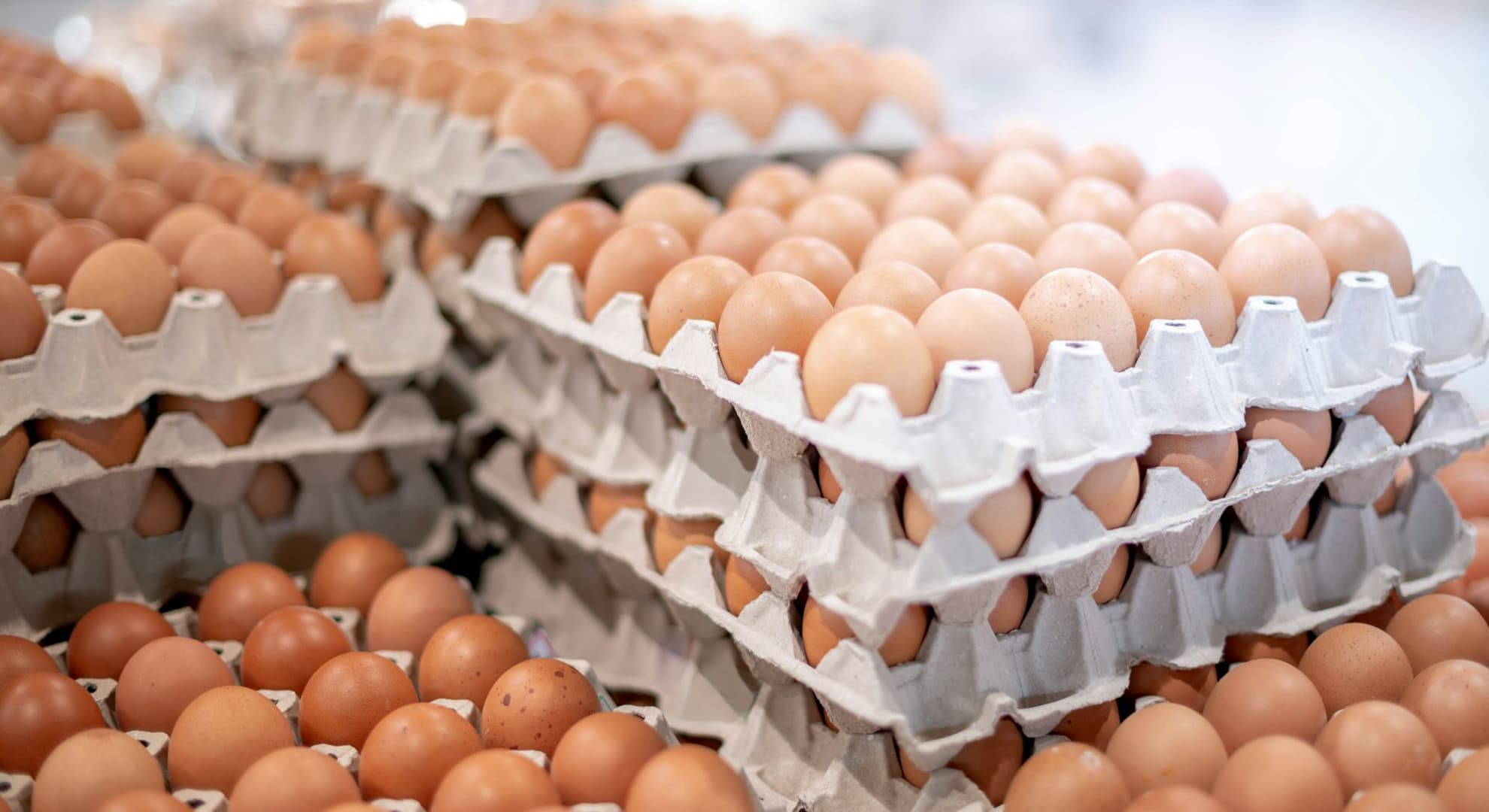 Stacked eggs