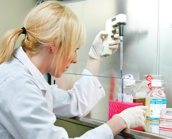 A PhD student performing cancer cell culture experiments in a biosafety cabinet.