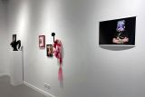 The Costume Elegies Exhibition at ECU's Spectrum Project Space