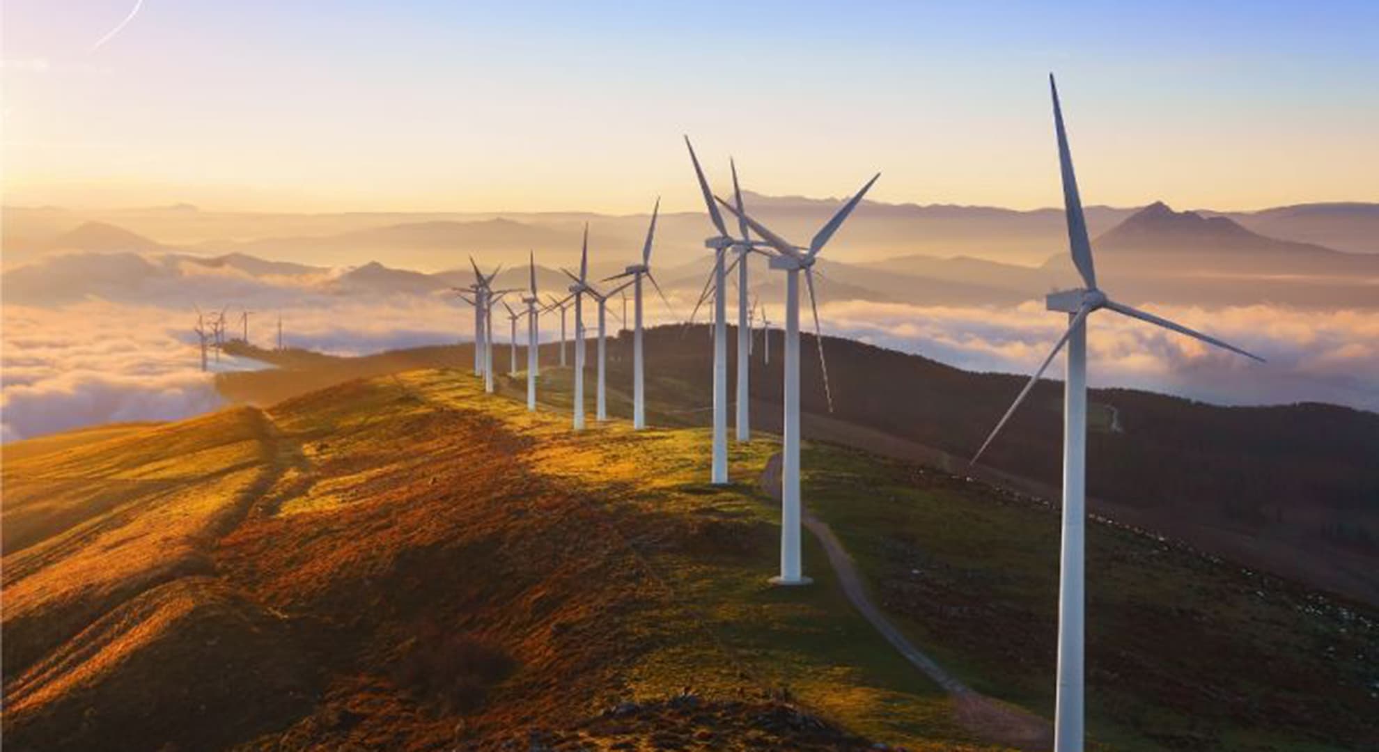 wind turbines in the outback