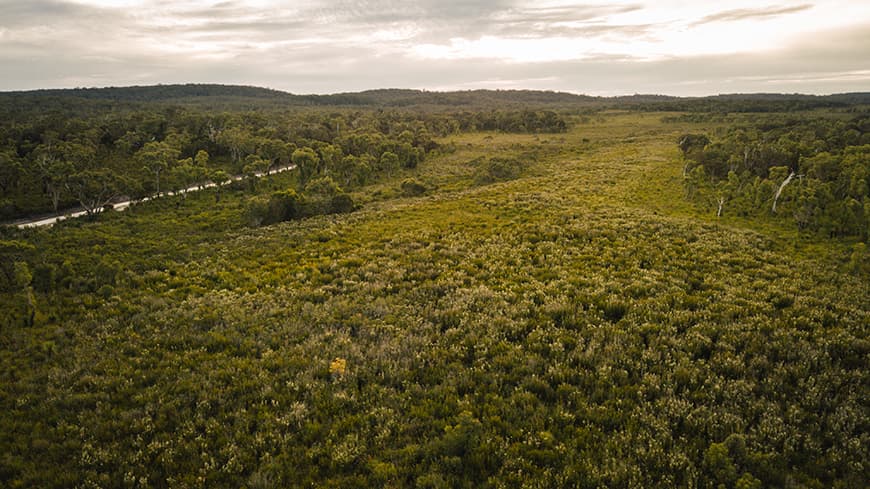 Aerial of the southwestern peatlands near Albany