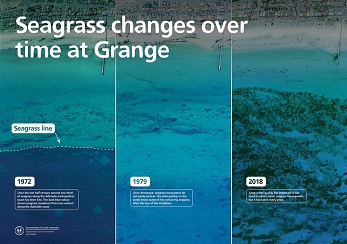 Grange Seagrass Loss