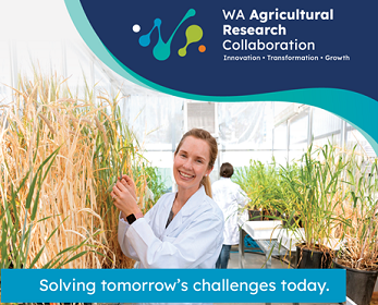 WA Agricultural Research Collaboration