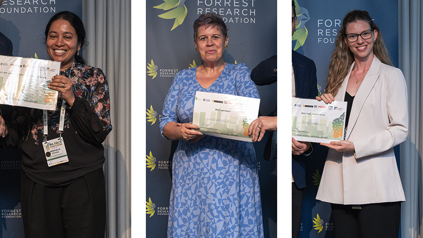 A triptych showing three people collecting awards