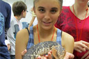 Reptile workshop