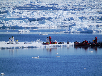 Antarctic Vienna