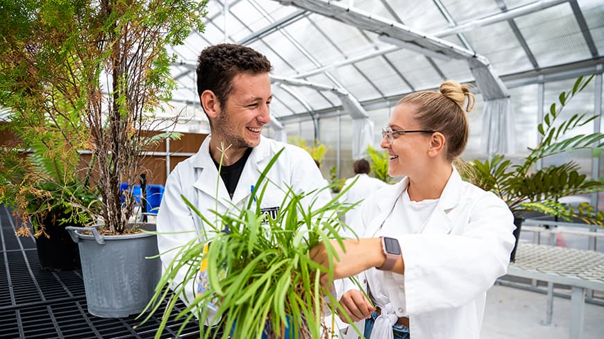 Male and female students examining a potted plant.