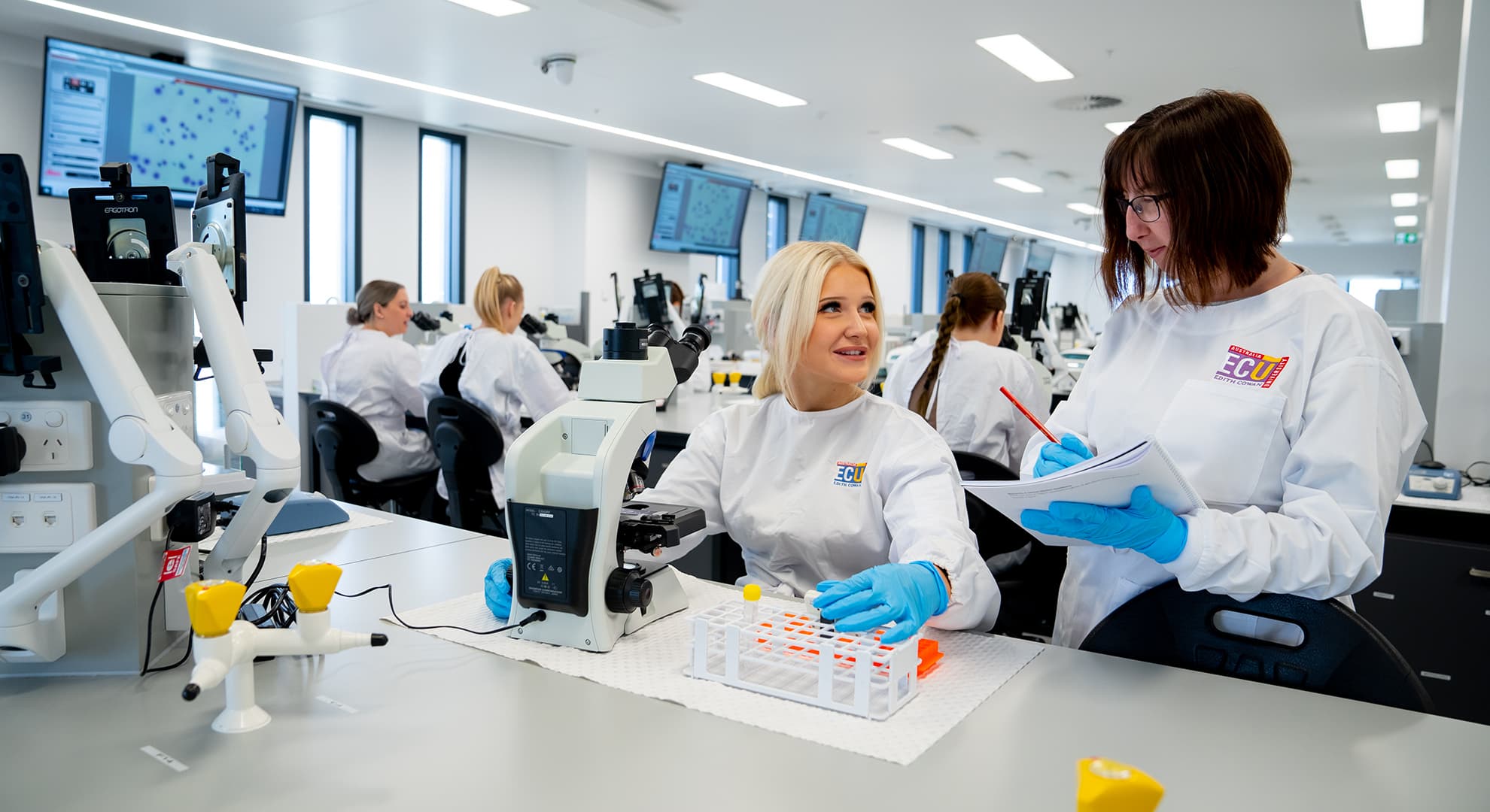 Students working together in a university laboratory.