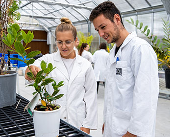 Two students in a greenhouse setting are examining and testing plants.