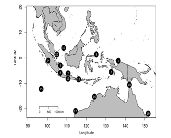 The Indo-Australian Archipelago.