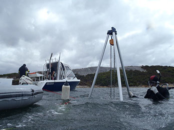 Sampling seagrass sediment cores