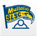 MSLSC