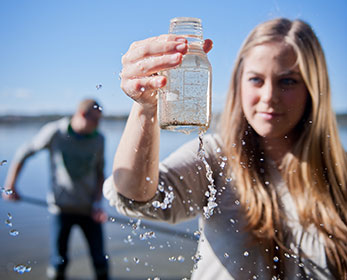 Biological and Environmental Sciences