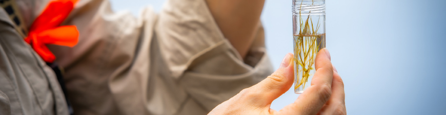 A person holding a tube with water and specimen.