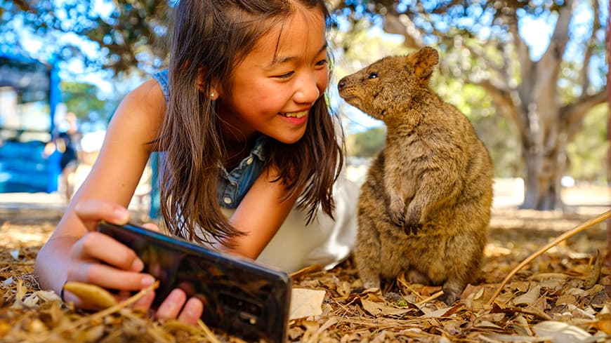 Young girl with small marsupial called a quokka