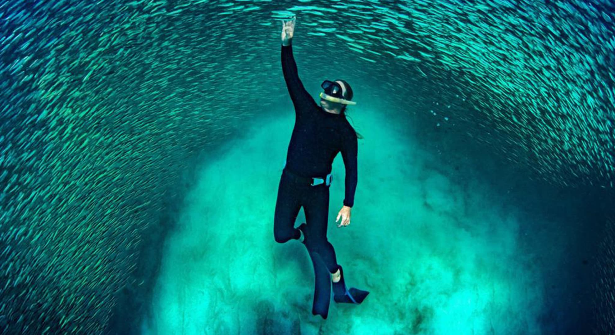 Image of Tim Winton diving in the ocean from TV series