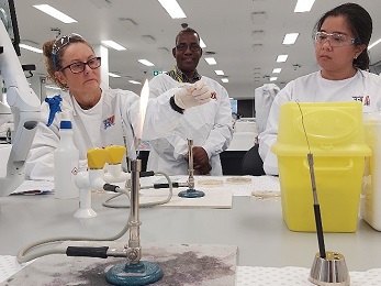 Students and researcher working in the Food Microbiology lab