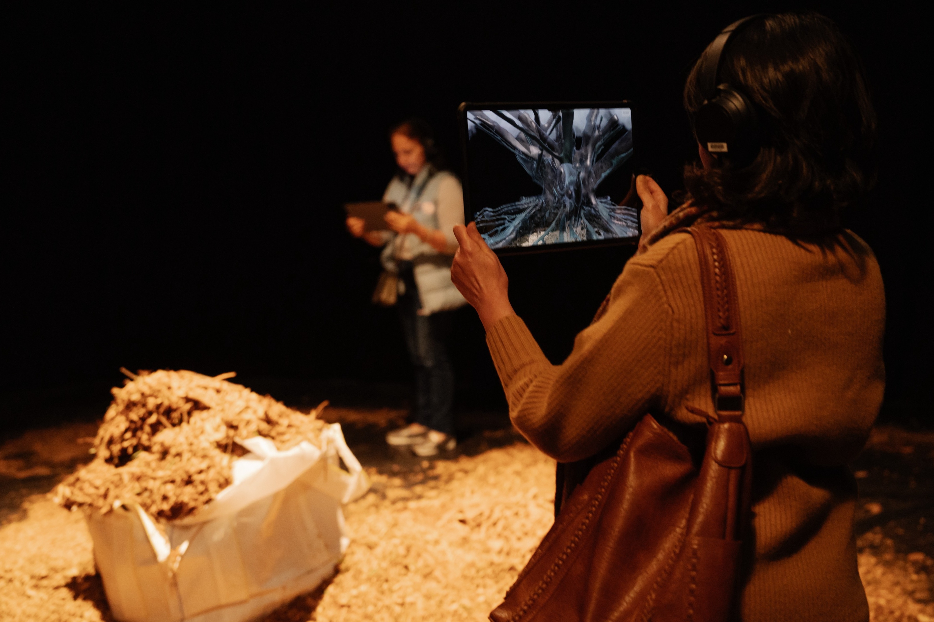 ARia Unseen exhibition 