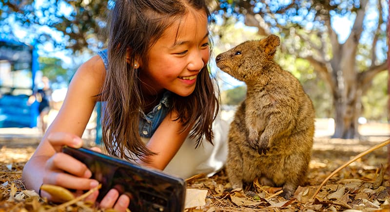 Young girl takes a selfie with a quokka.