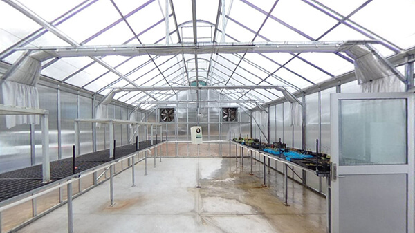 Greenhouse