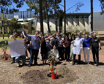 SBL1100 Foundations of Business Students, tree planting