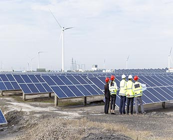 image of people looking at solar panels