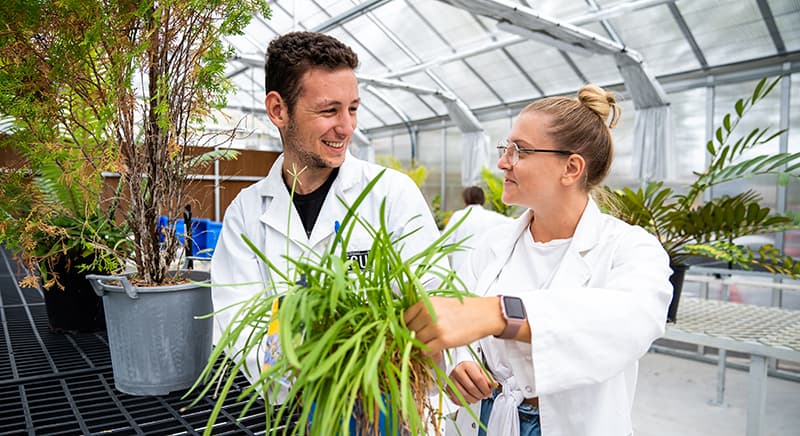 Male and female science students in greenhouse looking at plants.