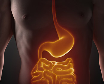 Having good gut health can reduce chances of obesity, non-alcoholic liver disease and certain types of cancer.