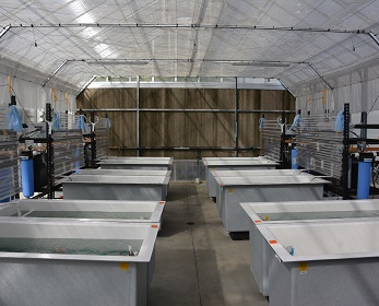 Mesocosm facility