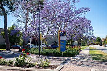 Mount Lawley Campus