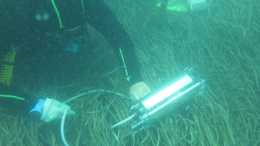Researcher in diving gear under water