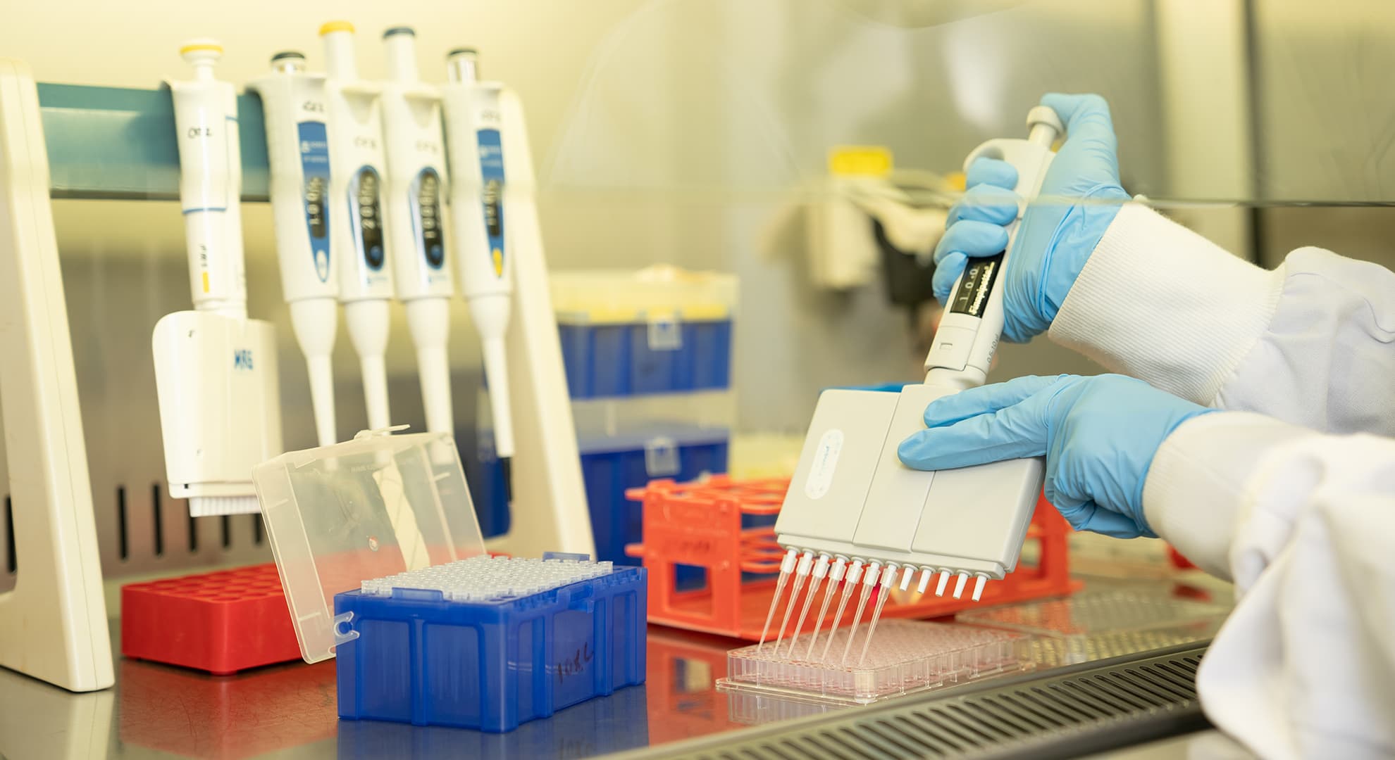 Close up image of technician working with in a science lab.