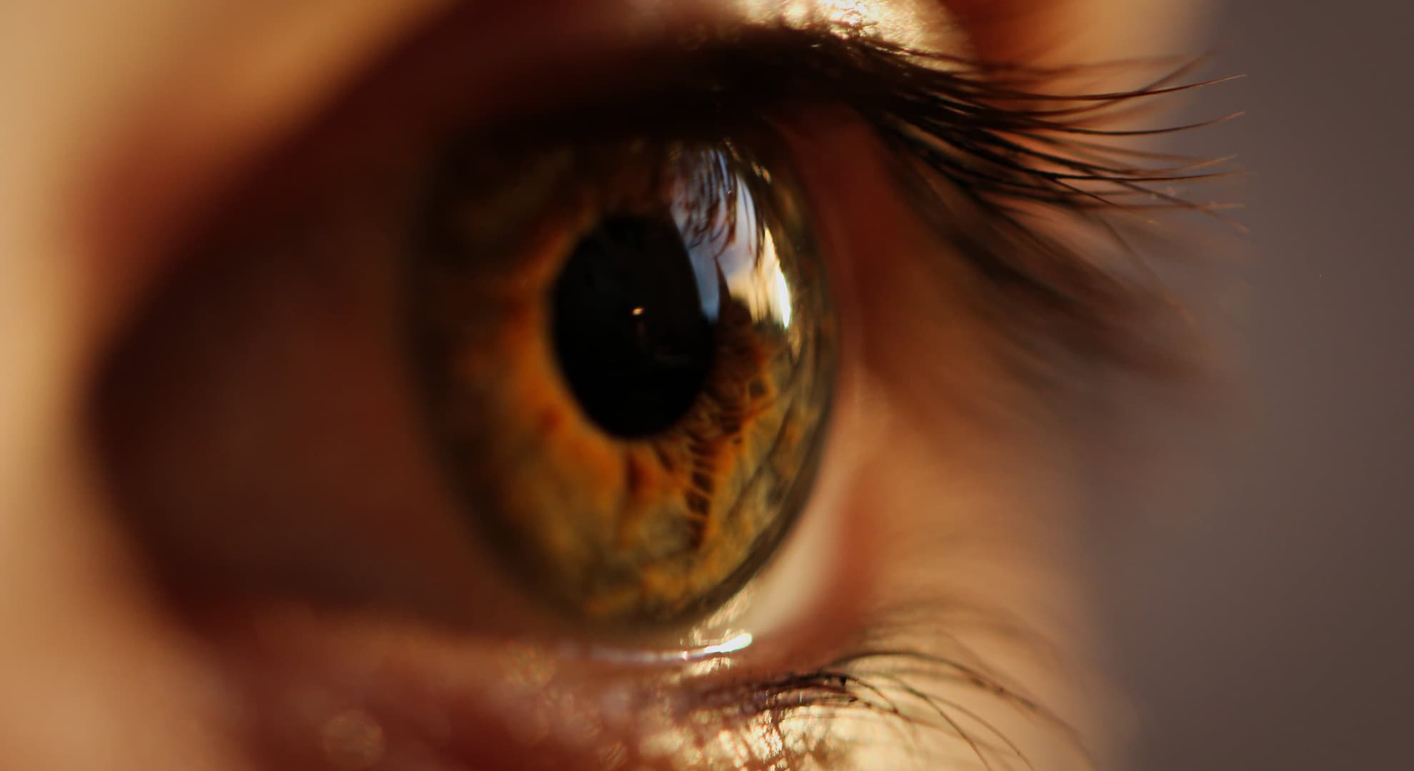 Brown eye.