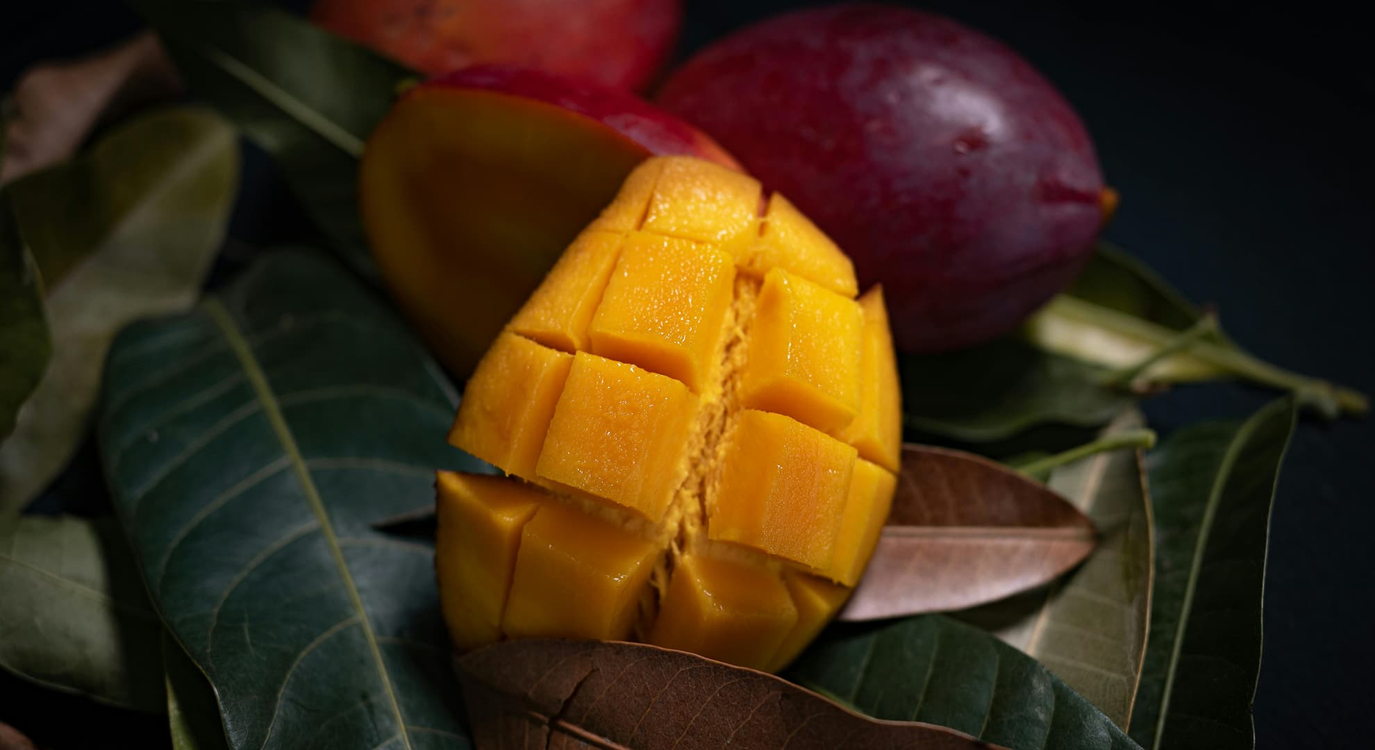 Mango fruit cut open