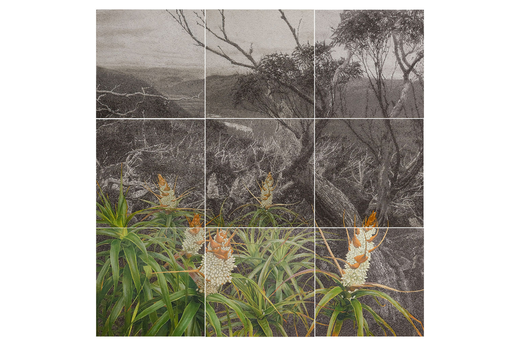 Nigel Hewitt, Reformation, 2018, Edith Cowan University Art Collection A2963