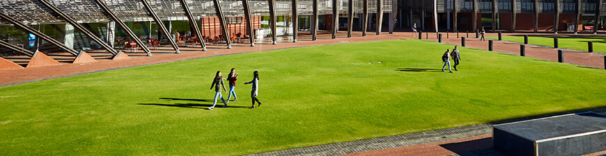 People walking on grass