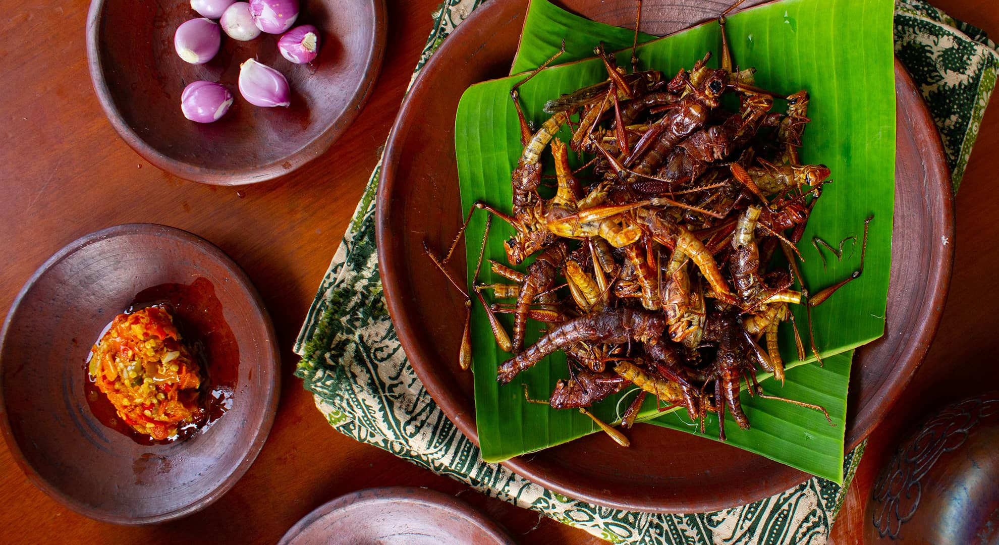 Fried grasshopper (belalang goreng) served with sambal, onion, garlic, chili on wood background