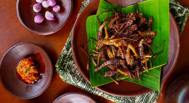 Fried grasshopper (belalang goreng) served with sambal, onion, garlic, chili on wood background