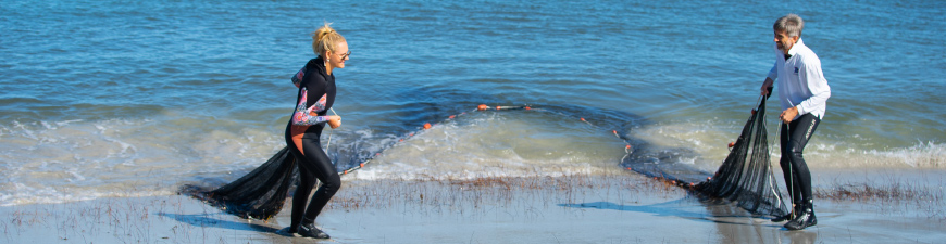 Centre for Marine Ecosystems Research