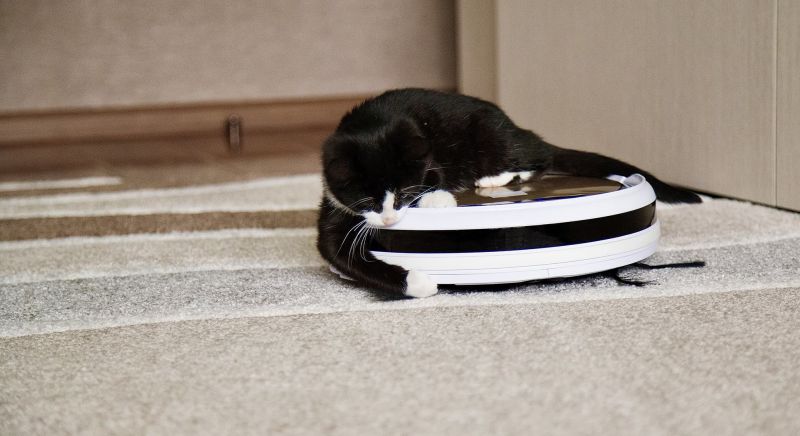 Black and white cat sitting on iRoomba vacuum