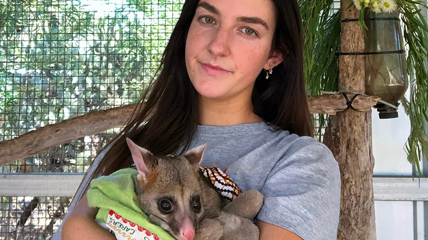 Shelby Middleton with brushtail possum.